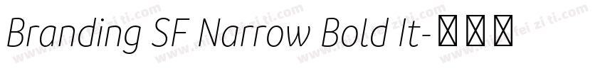 Branding SF Narrow Bold It字体转换